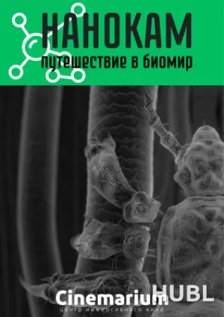 Нанокам. Путешествие в биомир
