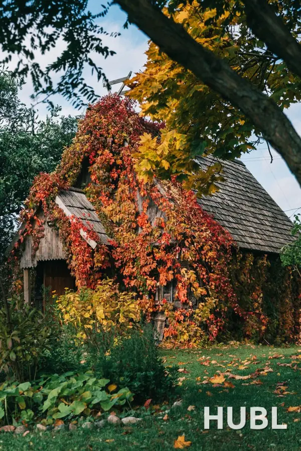 Экскурсіі ў Фальварак Ракуцёўшчына