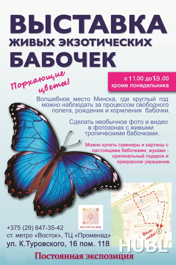 Выставка бабочек "Порхающие цветы"