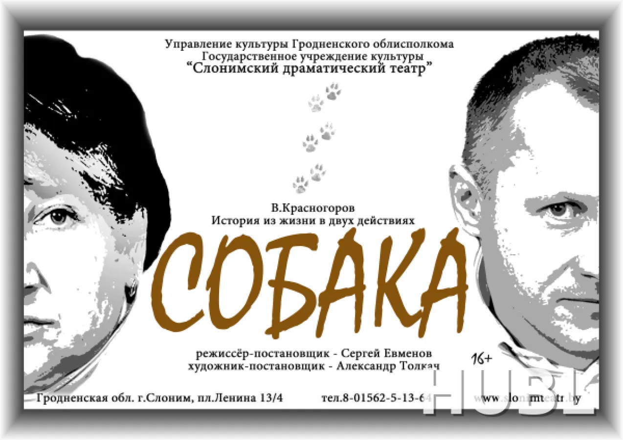 СОБАКА