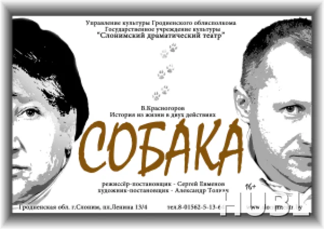 СОБАКА