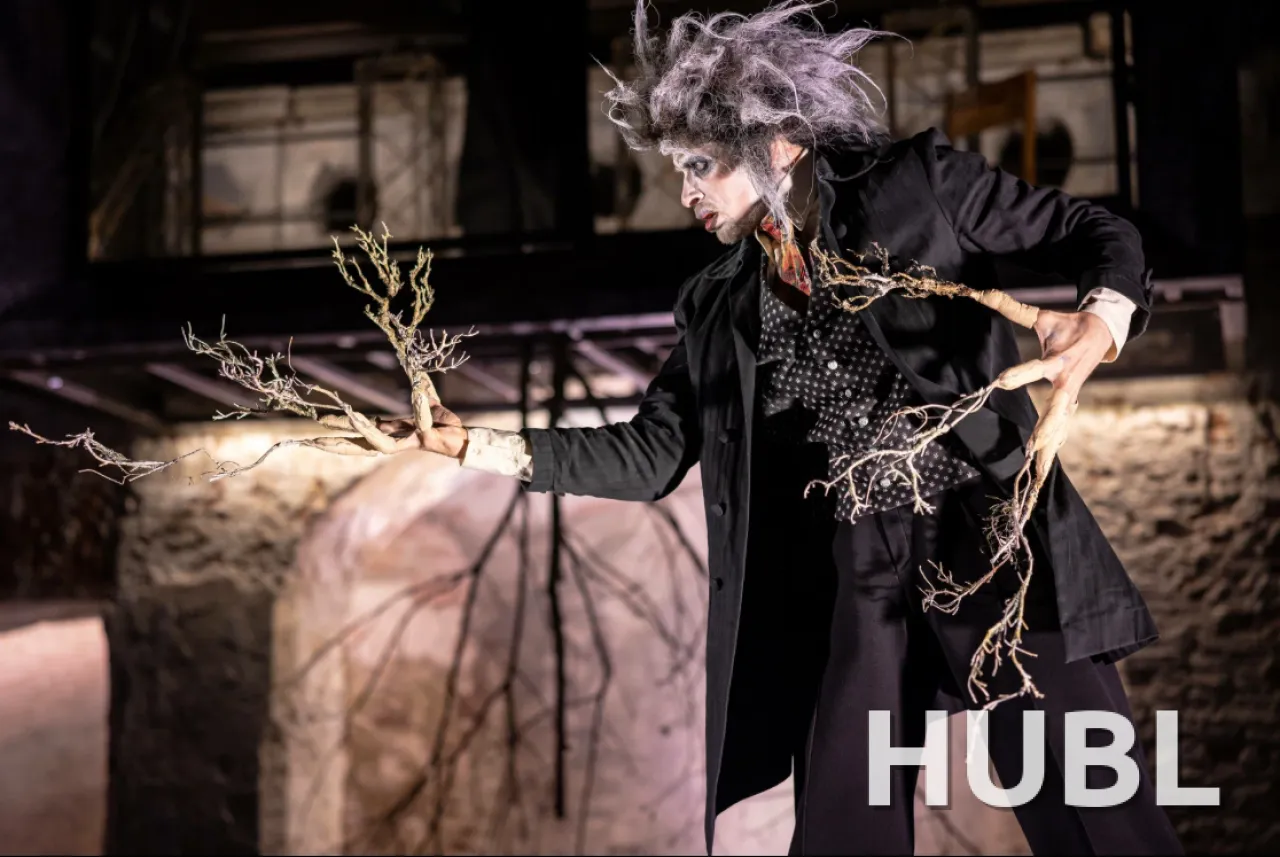 TheatreHD: ЭГОН ШИЛЕ. АВТОПОРТРЕТ