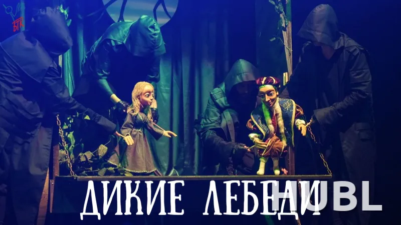 Дикие лебеди