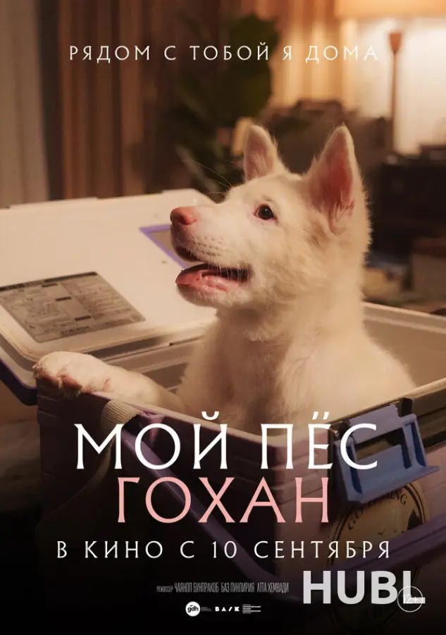 Мой пёс Гохан
