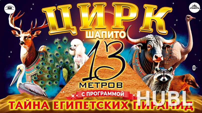 Шапито 13 метров г. Брест