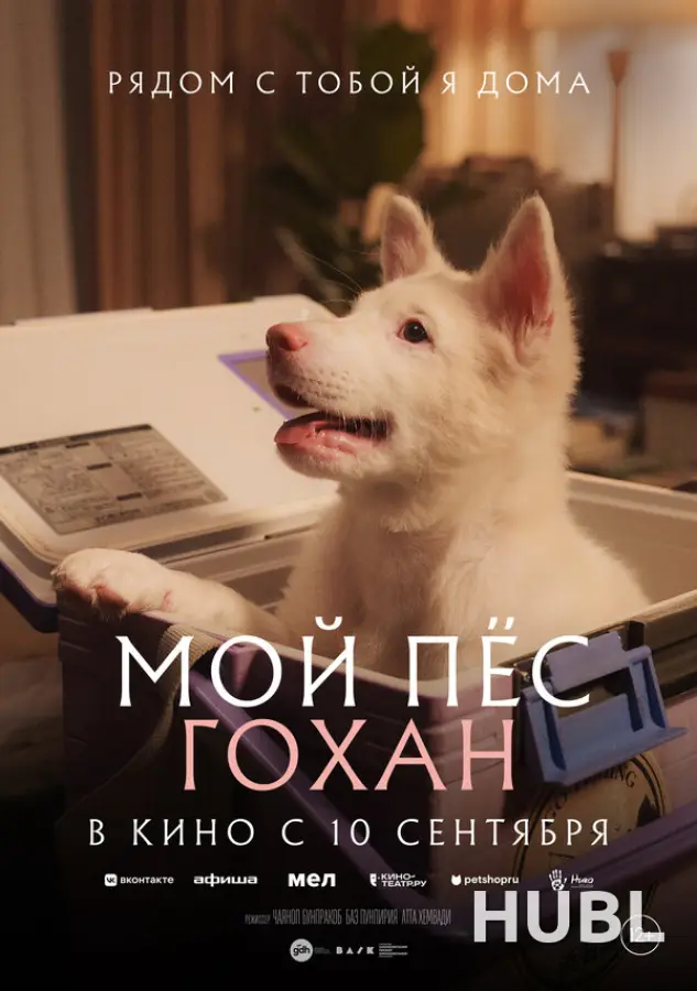 Мой пёс Гохан