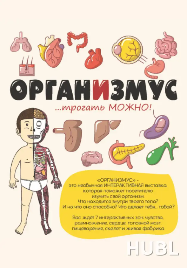 Интерактивная выставка о теле человека «Организмус»