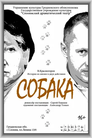 СОБАКА