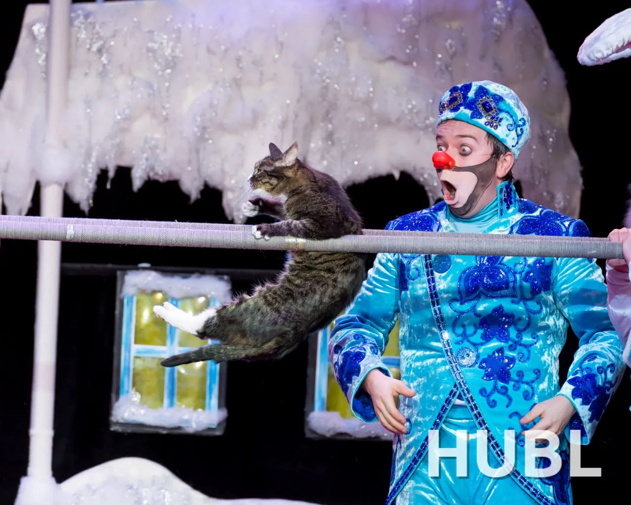 «Зимняя сказка». Театр кошек Куклачёва