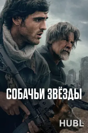 Собачьи звёзды