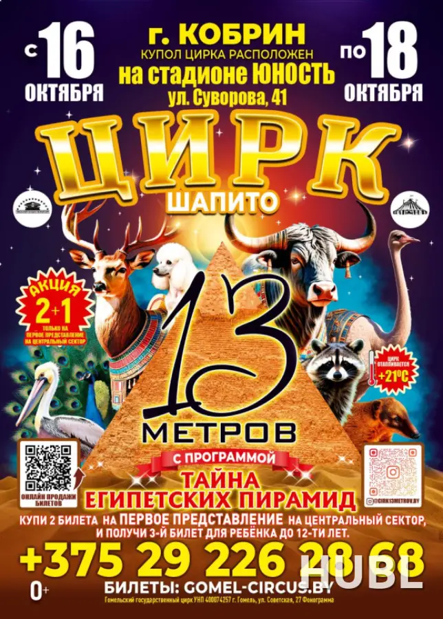 Шапито 13 метров г. Кобрин