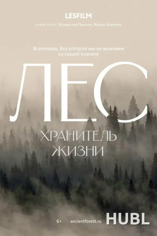 Лес. Хранитель жизни
