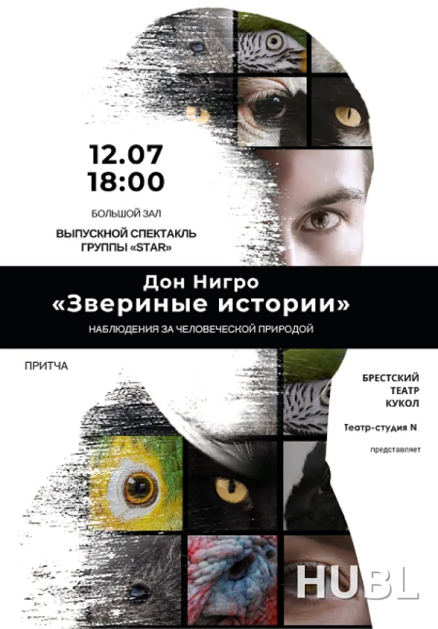 Звериные истории