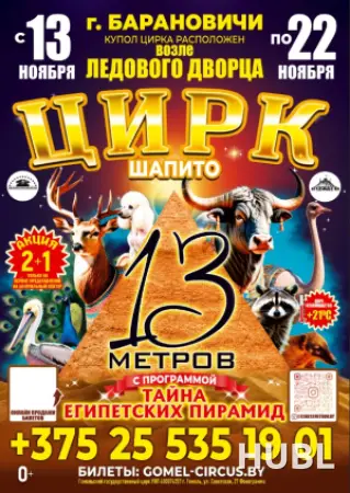 Шапито 13 метров г. Барановичи