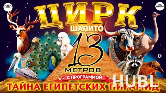 Шапито 13 метров г. Лида