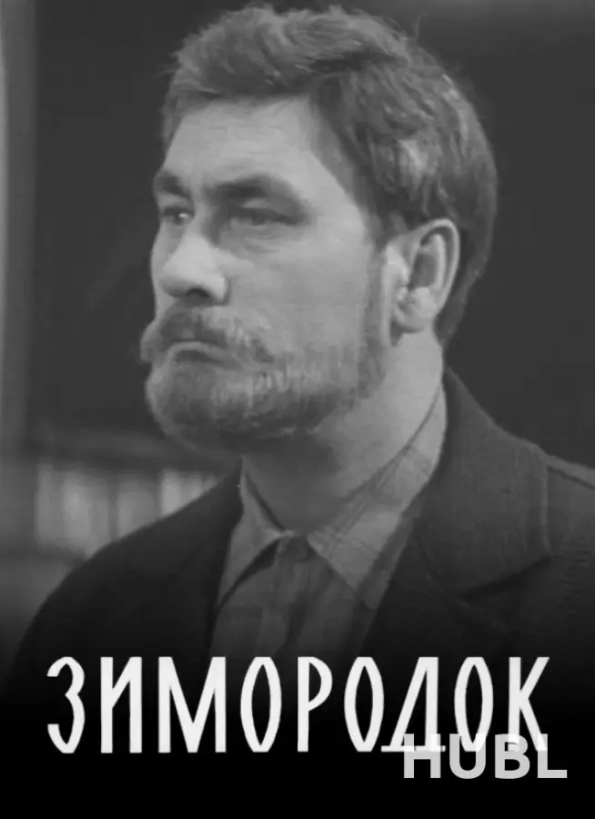 Зимородок