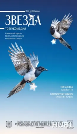 Звезда