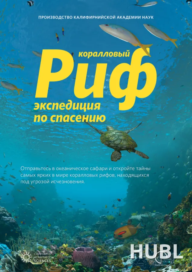 Коралловый риф. Экспедиция по спасению