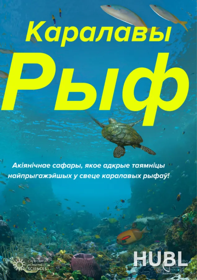 Каралавы рыф. Сферычнае кіно на роднай мове!